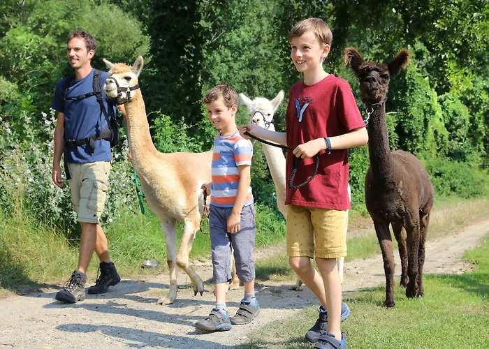 فندق Jufa - Bio Landerlebnis 3*